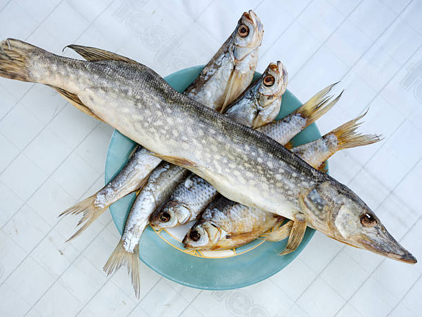 istock dried pike lies on a plate on the table 2227749546
