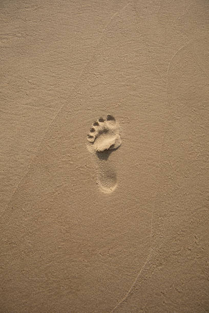 Footprint in the Sand Background. Shot in Gulf Shores, Alabama with a Canon EOS Mark V camera.