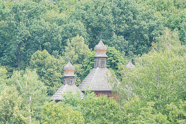 Ancient Central European rural cottage amidst lush greenery, thatched roof, multiple small domes, natural stone walls, surrounded by trees, early morninglate afternoon lighting, serene ambiance, pre