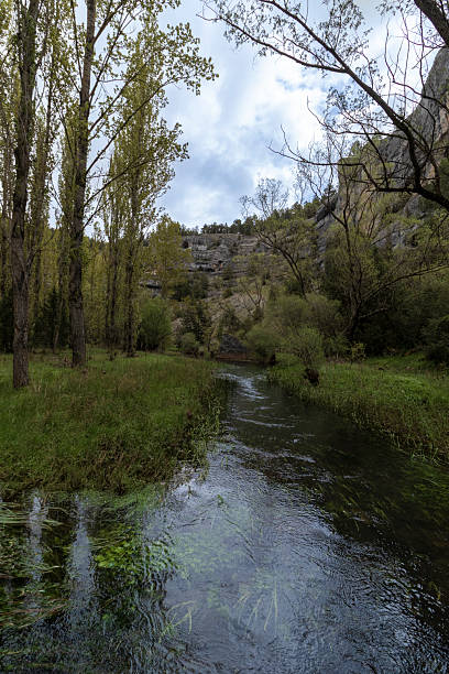 istock Serene river flowing through lush green landscape 2227753701
