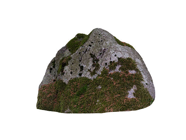 istock stone overgrown with moss isolated on white background highest detail 2227754458