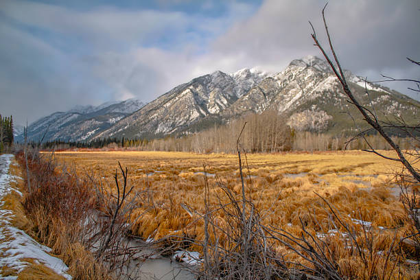 istock Banff scenic in early winter 2227762136
