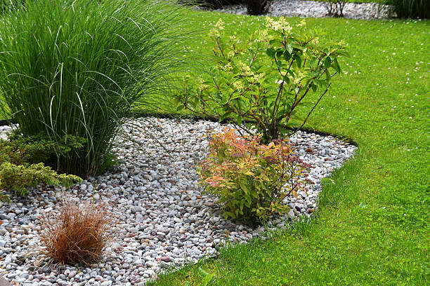 istock Modern garden design with decorative gravel 2227766199