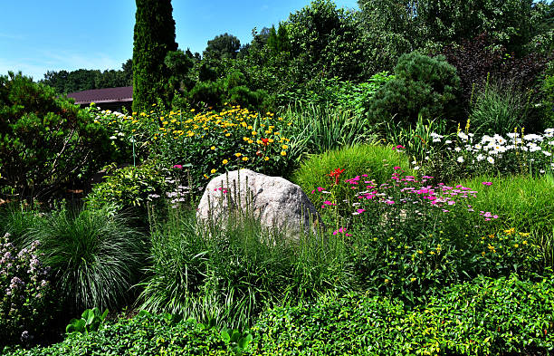 istock Flower bed with blooming plants and large decorative granite boulder 2227766314