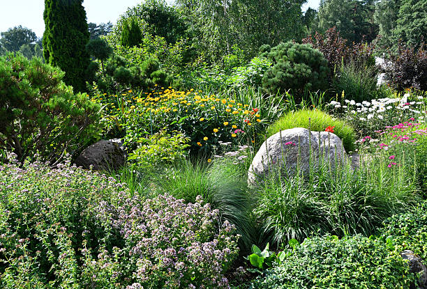 istock Flower bed with blooming plants and large decorative granite boulder 2227766329