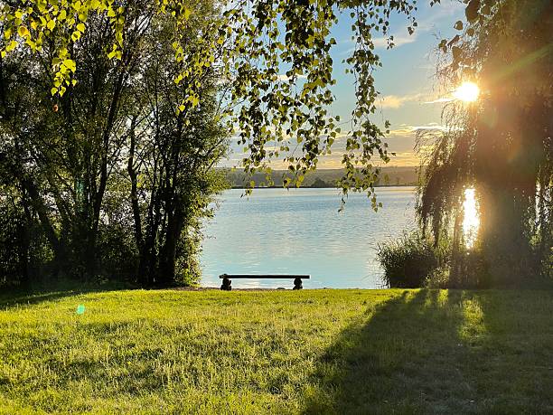 istock Wooden Bench by Lake 2 2227766399
