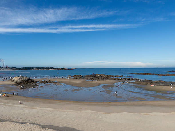 Coastal landscape with birds on rocks