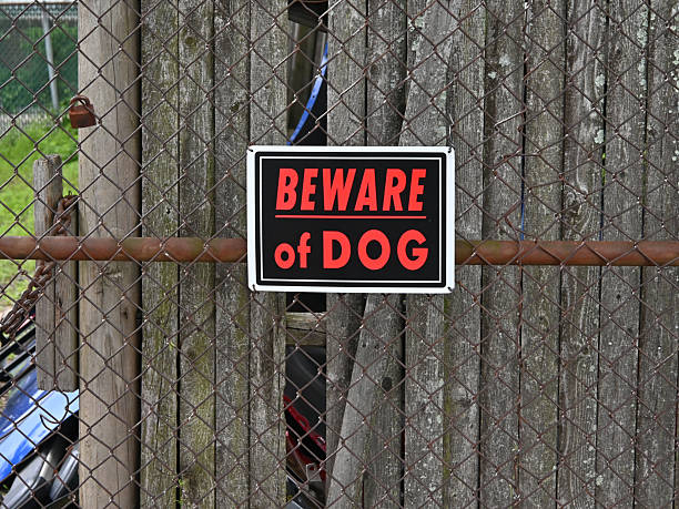 istock Beware of Dog sign 2227767991