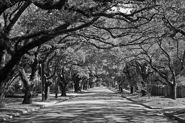 istock Black and white South Carolina street 2227769230