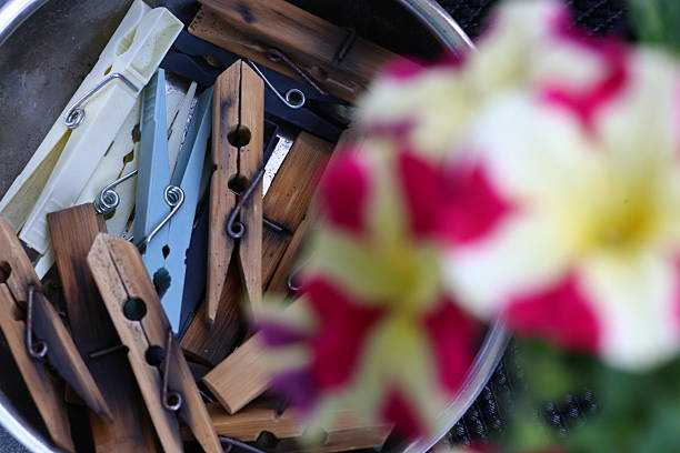 Clothes Pegs in a Bowl with a Blurry Flower