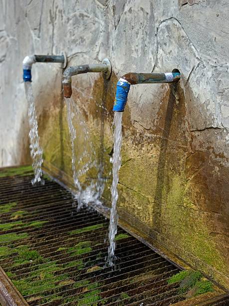Mid adult men of Indian ethnicity drinking water portrait outdoor in nature.