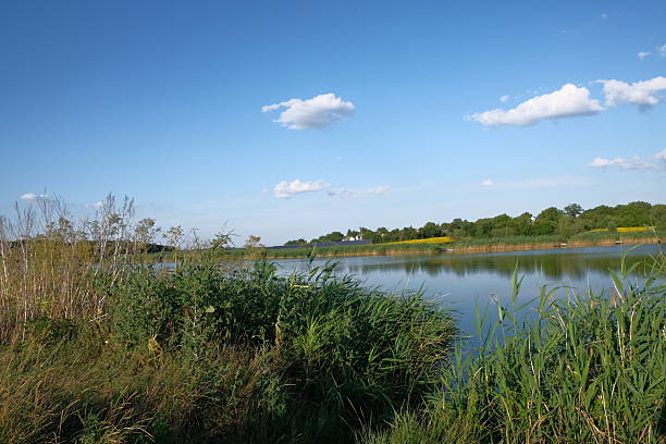 istock Rural Landscape with Solar Panels and Pond in Summer 2227770191