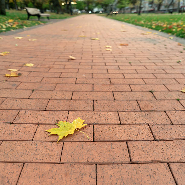 Empty brick path background