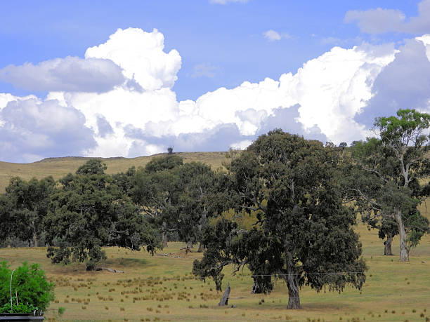 istock Mansfield,  Victoria, Australia 2227777432
