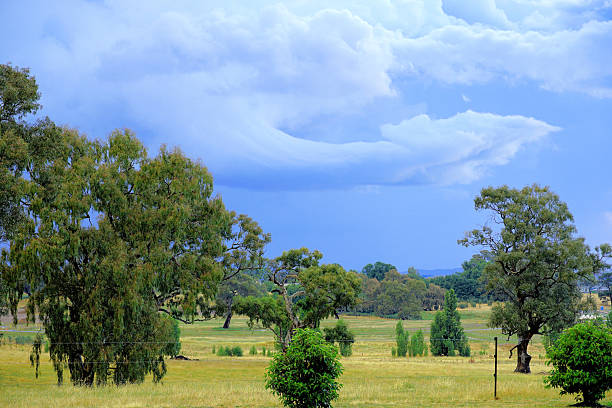 Mansfield,  Victoria, Australia