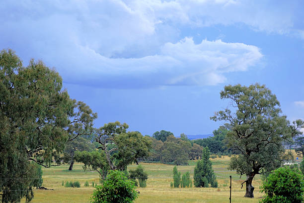 istock Mansfield,  Victoria, Australia 2227777586