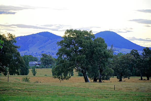 istock Mansfield,  Victoria, Australia 2227777587