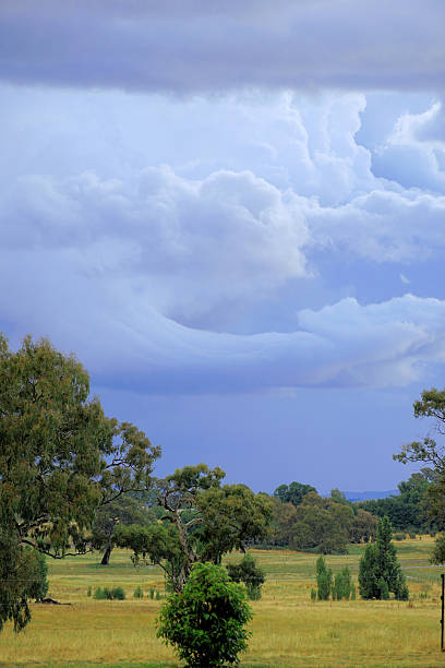 istock Mansfield,  Victoria, Australia 2227777738
