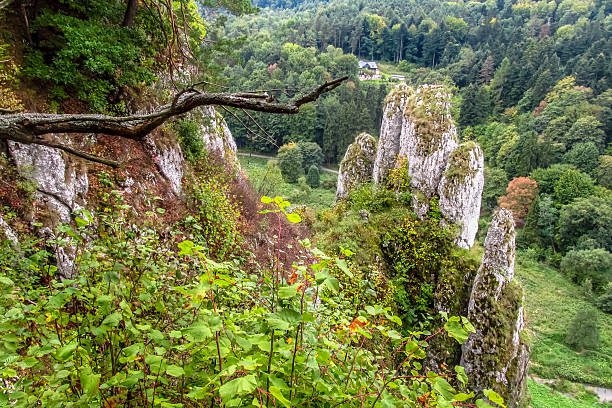 istock Ojcow rocks limestone formations and forest landscape Krakow, Poland 2227777840