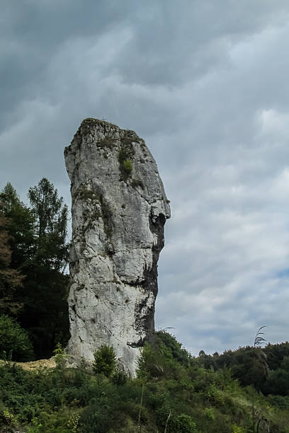 istock Ojcow rocks limestone formations and forest landscape Krakow, Poland 2227777914