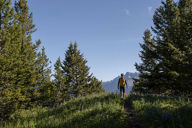 istock Mature bicyclist walks pathway across mountain meadow 2227783588