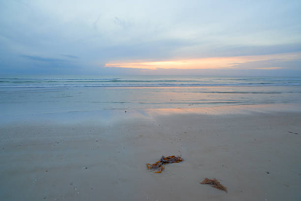 Gentle waves roll onto a vast, sandy beach during sunrise, with soft golden and blue tones in the horizon. A calming scene of serenity and natural beauty offering a sense of quiet reflection.