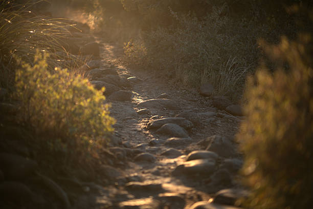 A rugged, sunlit hiking trail winds through dry brush and scattered rocks. The warm tones of late afternoon light create a peaceful, earthy mood.