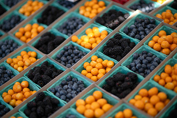 Neatly arranged rows of assorted berries—blackberries, blueberries, and golden berries—fill teal paper baskets at a farmer’s market.