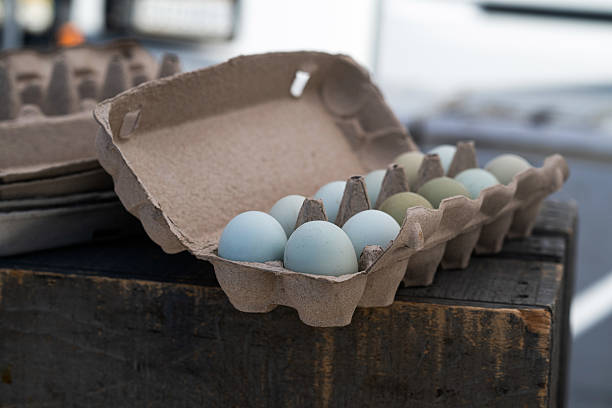 Carton of Blue and Green Pastel Eggs