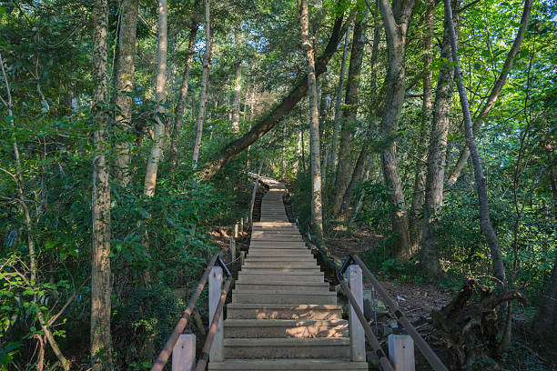 istock Stairway Hell on Route 6 of Mount Takao 2227788559