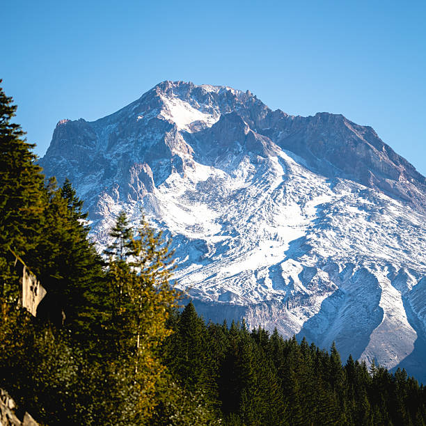 Beautiful scene from the mount hood national forest. Mount Hood is Oregon's crown jewel of natural wilderness beauty located just 1 hour east of Portland.