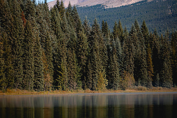 Distant boat rafters floating on a lake early in the morning in Oregon, USA. People are not recognizable.