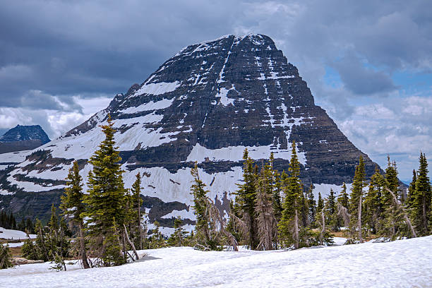 Hidden Lake at Glacier National Park, Montana in June