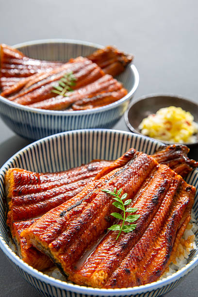 istock Unagi-don (eel bowl), grilled eel, popular Japanese food 2227791877