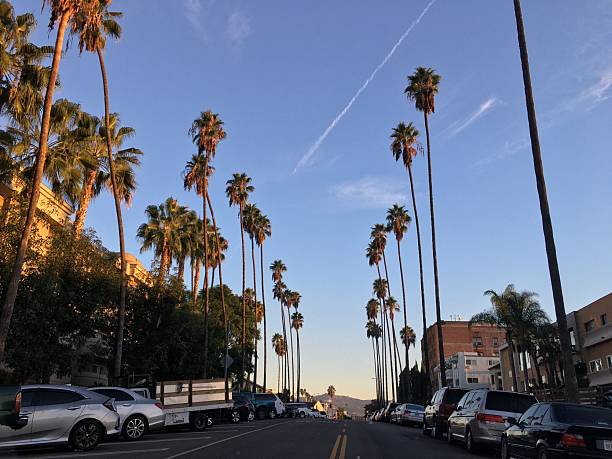 streets of City, urban view, Hollywood Los Angeles, Glendale, Eagle Rock, Palms, Trees, mornings, sunset