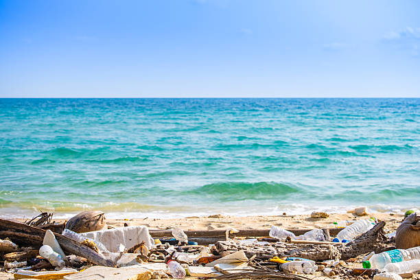 istock trash, plastic cups and plastic bags at the beach. environmental problem concept and healing the world 2227801916
