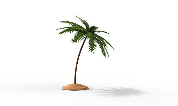 istock Palm tree and island isolated on white 2227806129