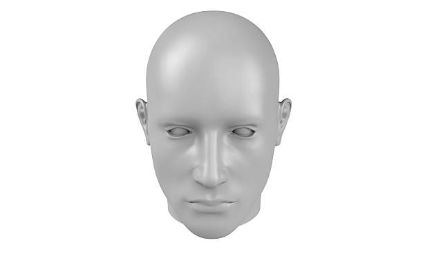 istock 3d model of a humane head with white skin isolated on white. it is a man face with bold head staring at various angles looking strait. 2227807085