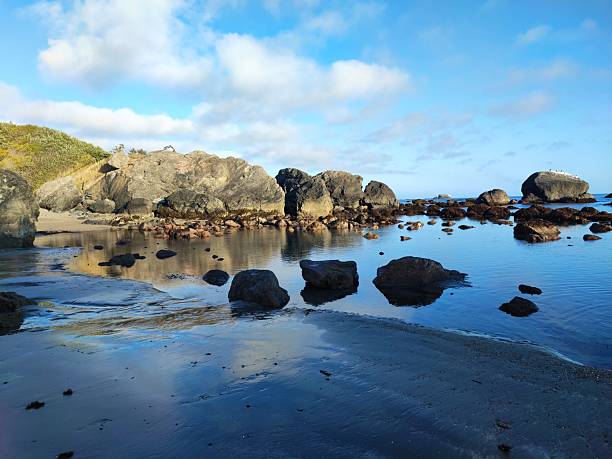 Beach front with mirror like blue water. Stones and rocks in the water and along horizon. Blue sky with fluffy white clouds.