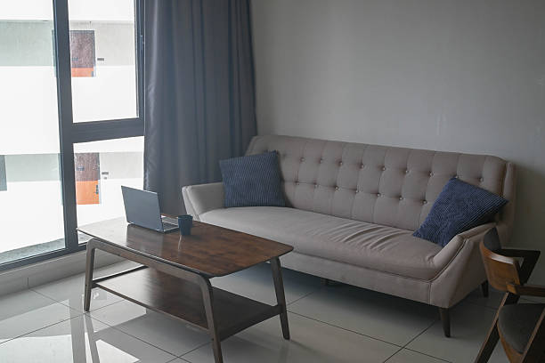 Modern Comfort: Stylish Gray Sofa with Cozy Accents