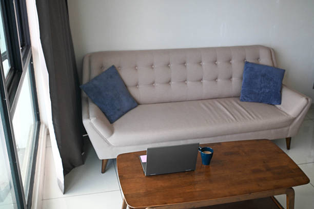 istock Elegant Simplicity: Gray Couch Draped with Blanket and Pillow 2227809871