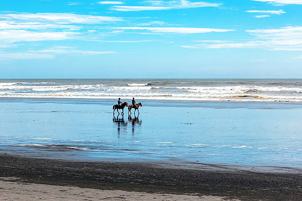 Female friends during horseback riding on the beach