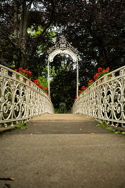istock Bellevue Bridge in Baden-Baden 2227812074
