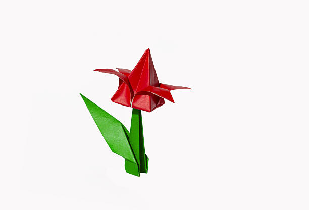 istock Origami red flower, tulip, isolated on white 2227814793