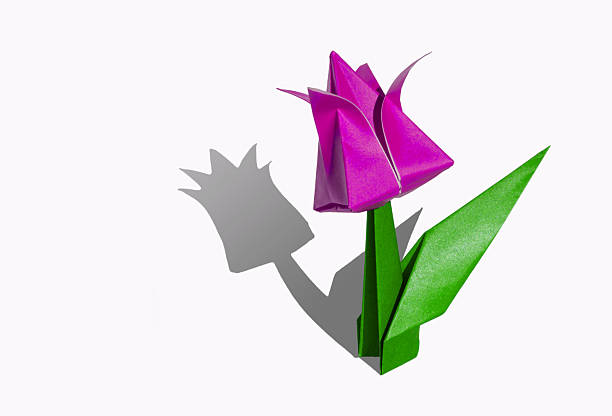 istock Origami pink flower, tulip, isolated on white 2227814802