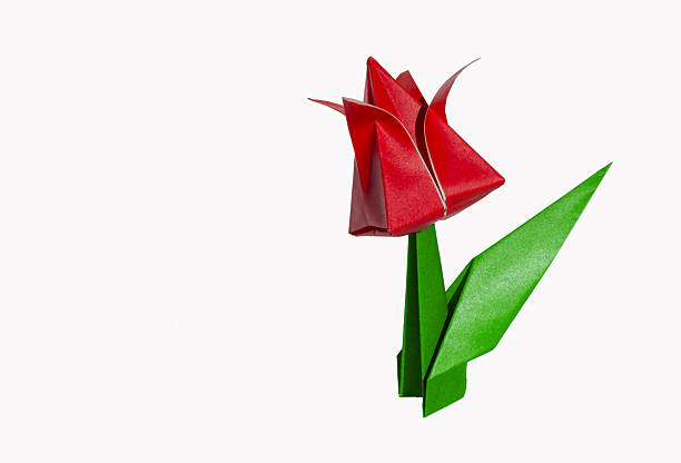 istock Origami red flower, tulip, isolated on white 2227814808