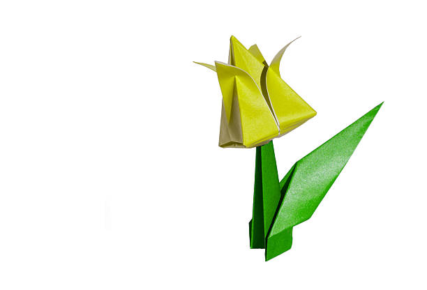 istock Origami yellow flower, tulip, isolated on white 2227814909