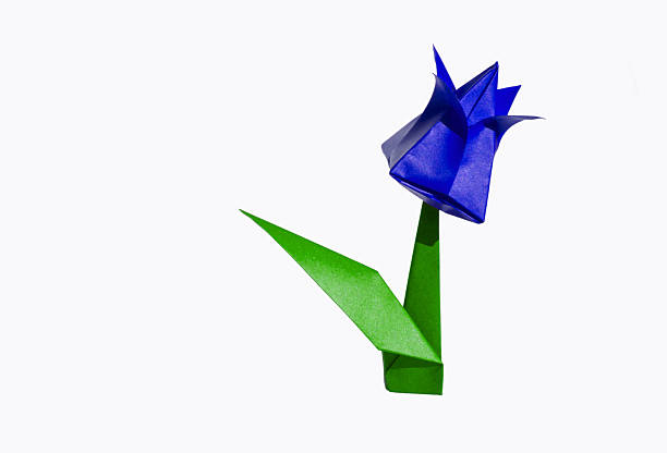 istock Origami blue flower, tulip, isolated on white 2227817828