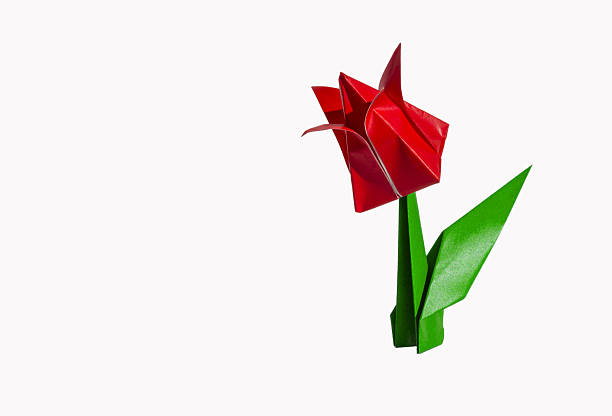 istock Origami Red flower, tulip, isolated on white 2227817832