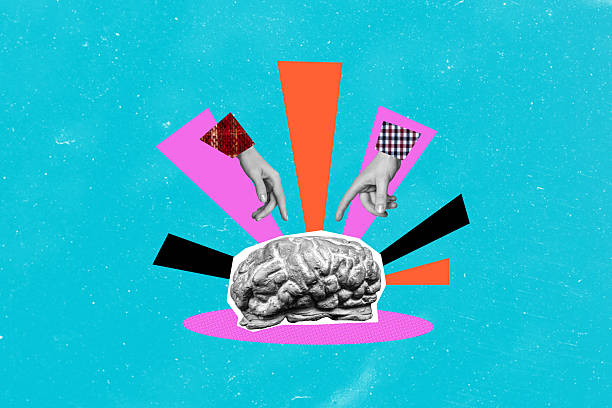 Composite photo collage of hands point core brain cortex neurology science museum statue wise organ isolated on painted background stock photo